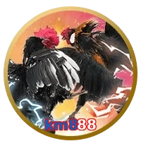 km888